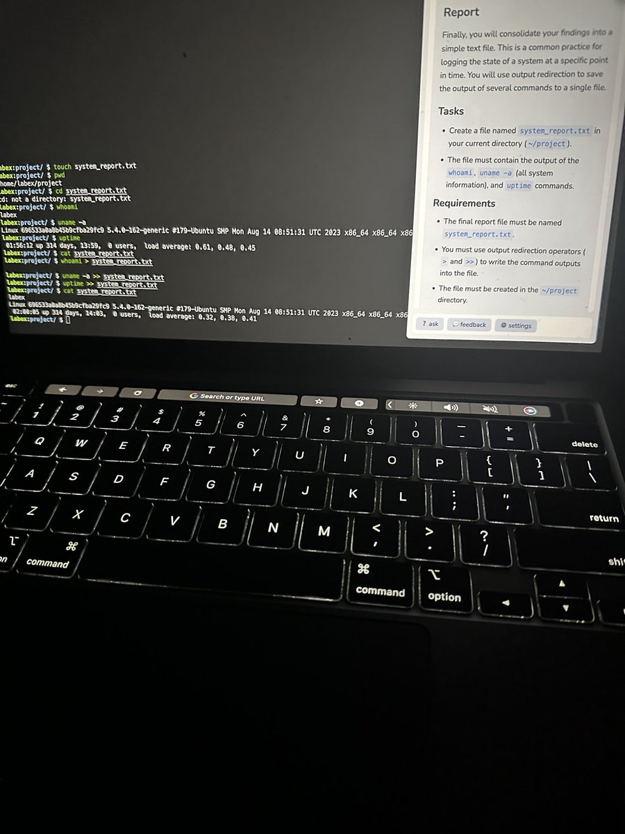 Aisha💕 tweet media