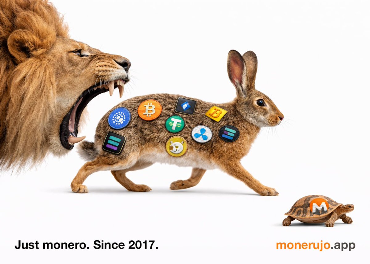 monerujowallet's tweet photo. Nuff said. https://t.co/j4QBUwz7lm