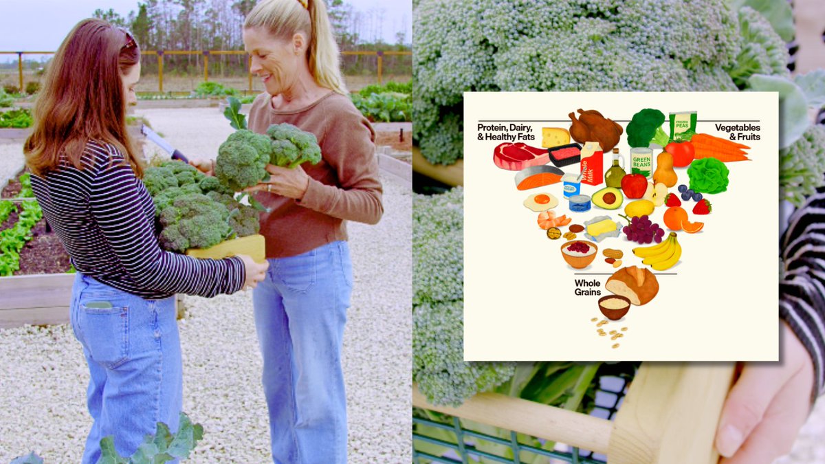 America just reset its nutrition policy around one simple truth:
 
Eat real food. Live like humans again.
At The Farm at Okefenokee, we grow:
🥩 Protein
🥬 Vegetables
🥚 Eggs
🍎 Fruit
🌿 Health

And we live it every day.
👉 Real food. Real land. Real life.