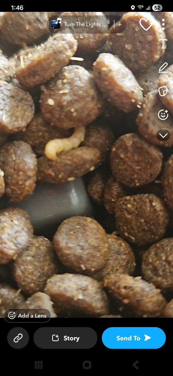 Anthony Caputo tweet media