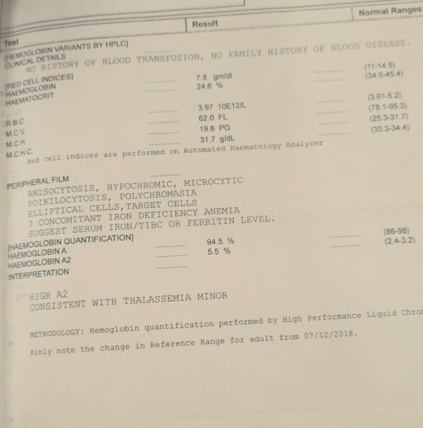 Tariq Mir 🇵🇰 tweet media