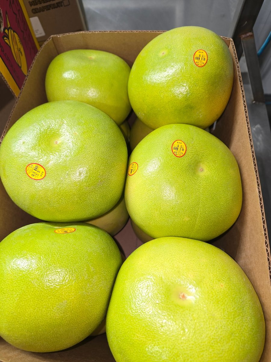 KimballProduce's tweet image. Meet the pummelo✨Mildly sweet, crisp, and easy to peel 🙌 Less tart than grapefruit and a refreshing way to switch up your citrus lineup. At Kimball Produce Sales, we’re always looking to bring in quality citrus worth trying 👀📦#Pummelo #CitrusMarket #CitrusSeason