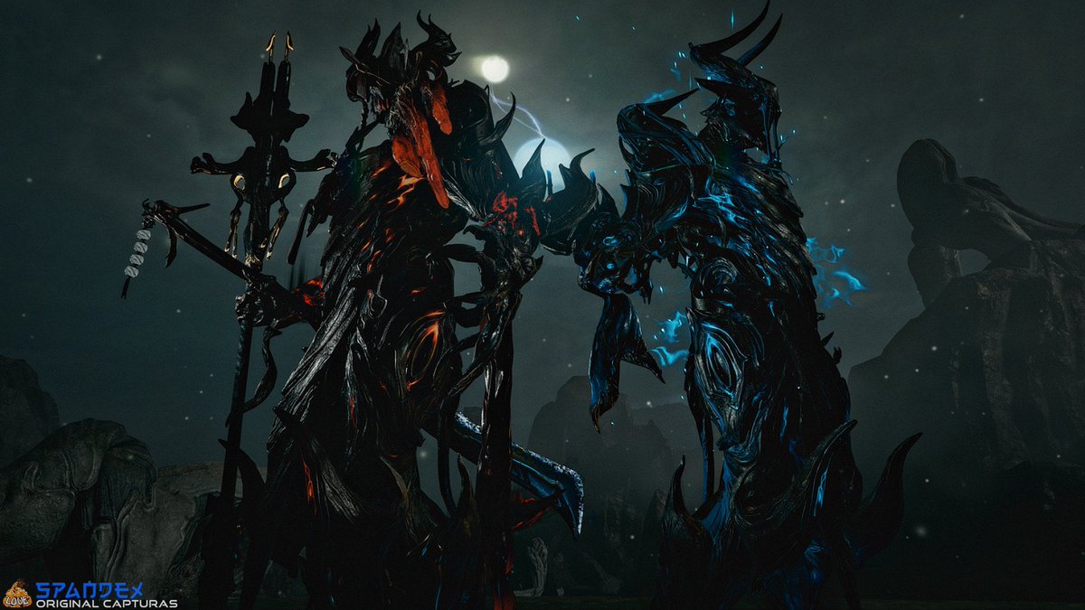 Spandy 📸 tweet media