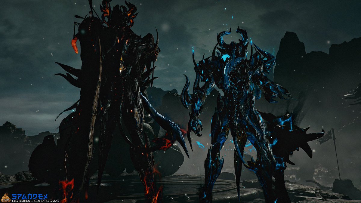 Spandy 📸 tweet media