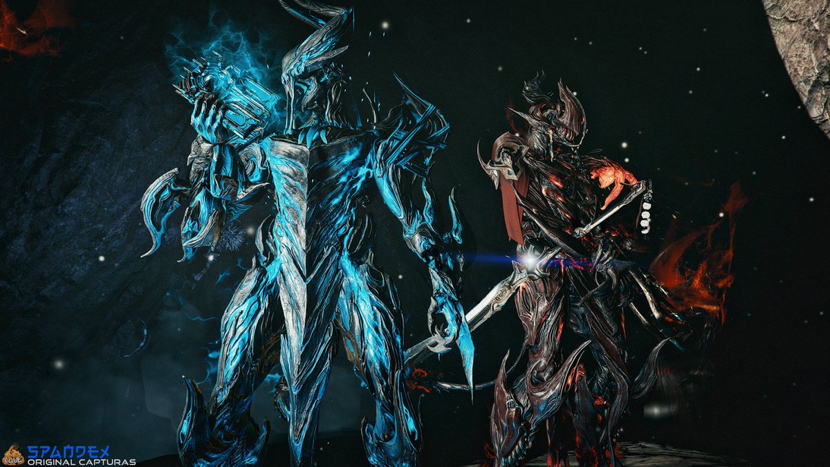 Spandy 📸 tweet media