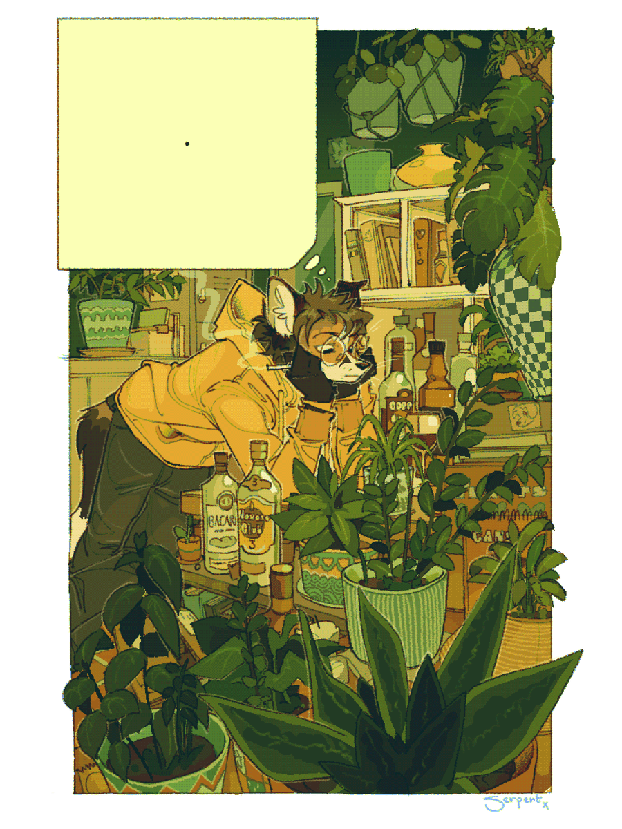 Serpent____x's tweet image. 