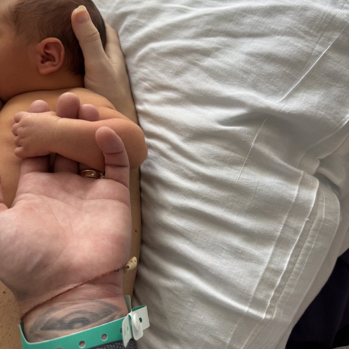 maurice | Solflare tweet media