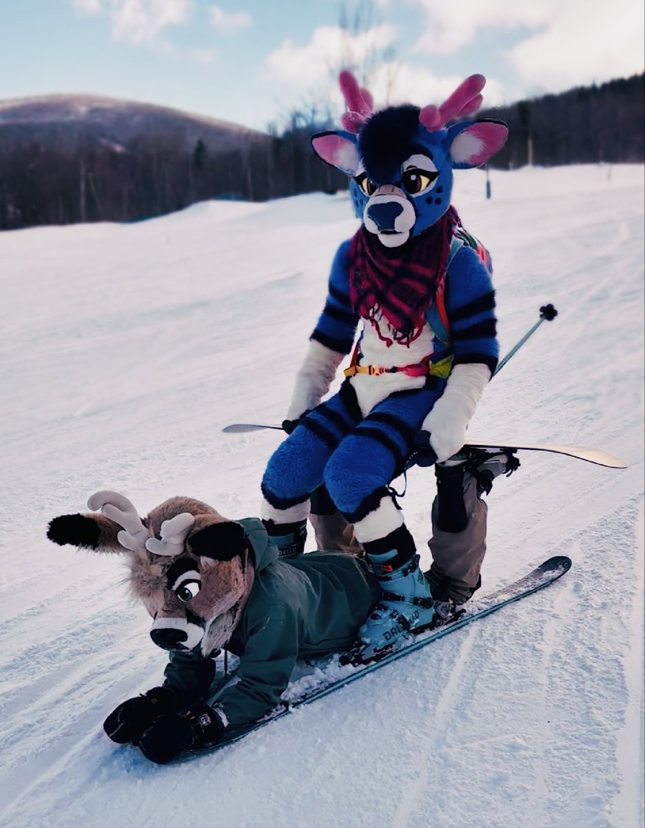 Bungee @LVFC tweet media