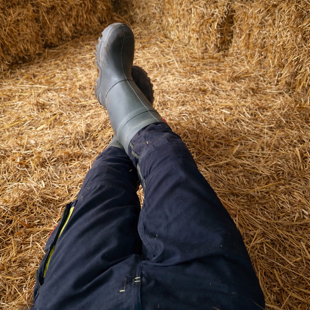 stiefel_Kerl_Bear tweet media