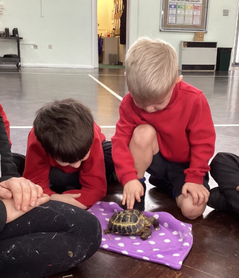 Woodthorpe Primary School tweet media