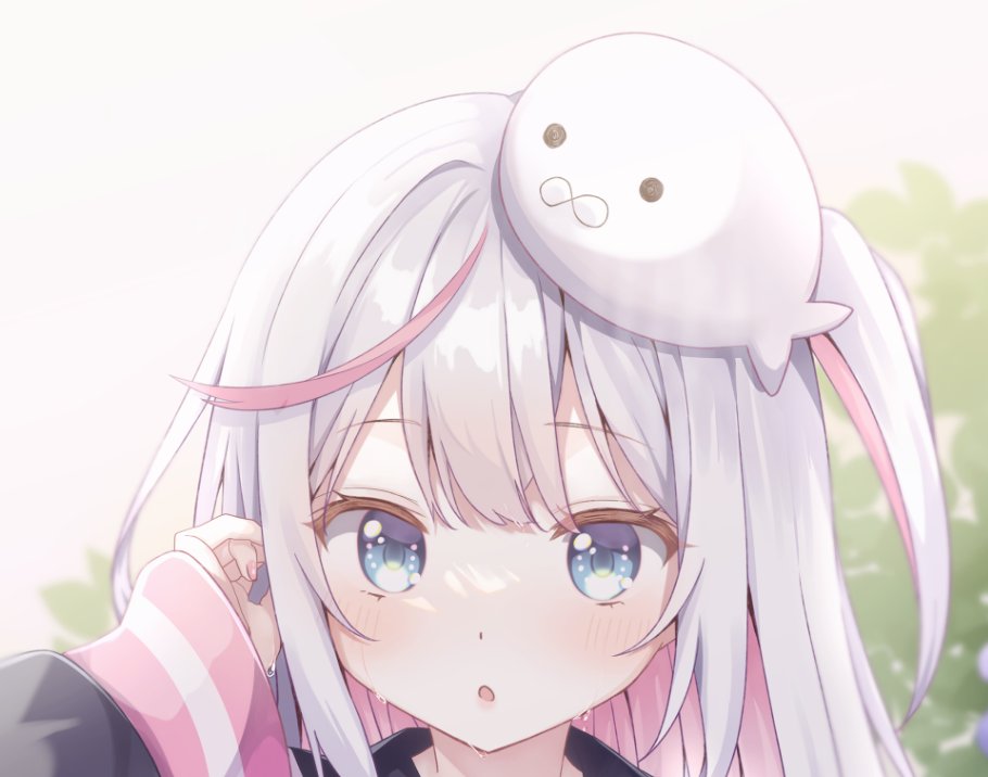 gomalio_y's tweet image. タップして縦長にして🦭✨