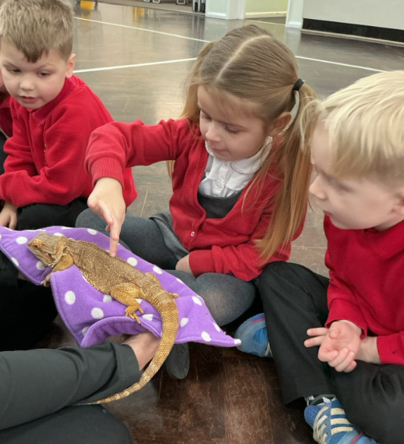 Woodthorpe Primary School tweet media