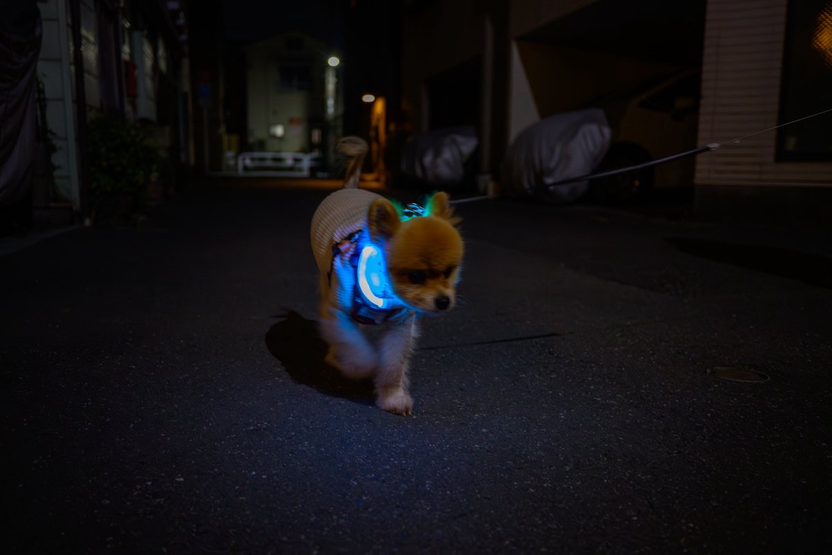 つよぽん (@tsuyo428) / Posts / X