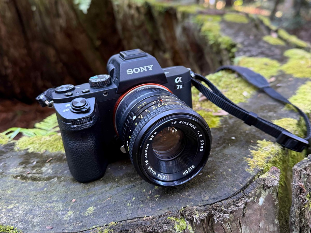 XR-7M2リケノンP50 * XR-7M2リケノンP50 * XR-7M2リケノンP50 * Amazon | RICOH XRリケノン