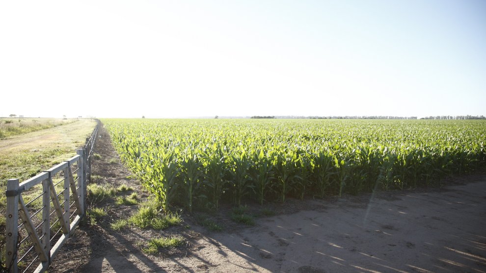 🌱 Seguro Multirriesgo Agrícola: se extiende el plazo hasta el 17 de enero

La inscripción y la cobertura no tienen costo para el productor 👉 bit.ly/3LBaTsO