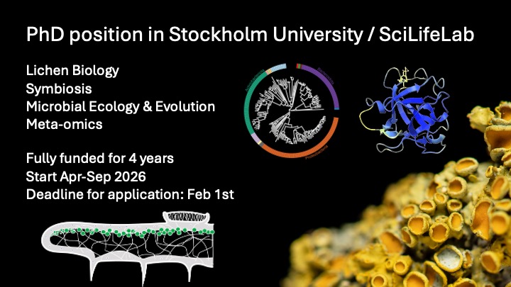 ⚡️Fully funded #PhD position in my lab at Stockholm University / SciLifeLab! If you’re interested in #lichens, #symbiosis, fungal biology, or meta-omics, please apply. Deadline Feb 1. Read more here: su.varbi.com/en/what:job/jo…