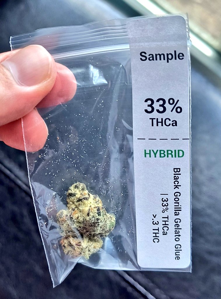 ShaqsGardening's tweet image. Throwback to this sample I was sent 🔥 this was some of the best weed I've smoked in my life. 12/10 🔥 
Black Gorilla Gelato Glue. 🦍