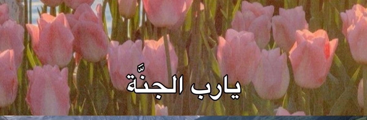 i14nn's tweet image. 