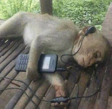 столкнулась с осознанием того что ща примерно все что со мной происходит и будет происходить зависит только от меня и мне даже не на кого свалить свои проебы  🚬🚬🚬