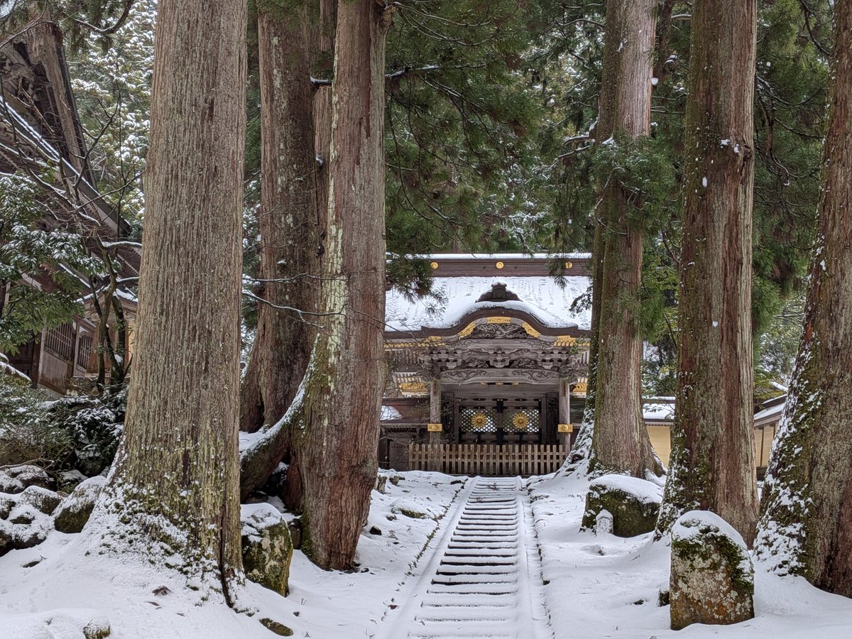doorglee's tweet photo. 雪の中来てよかった https://t.co/T34sIPHU6z