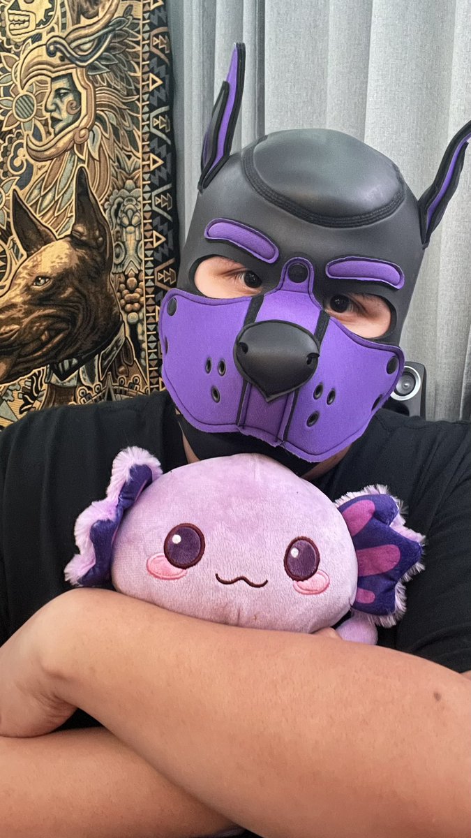 daichub1998's tweet photo. Me encanta ser un cachorro puedo ser el pequeño travieso y adorable ☺️🙃🐶💜 #gordito #fatboy #pupplay 
@PupAbyss https://t.co/JFLQp96AMY