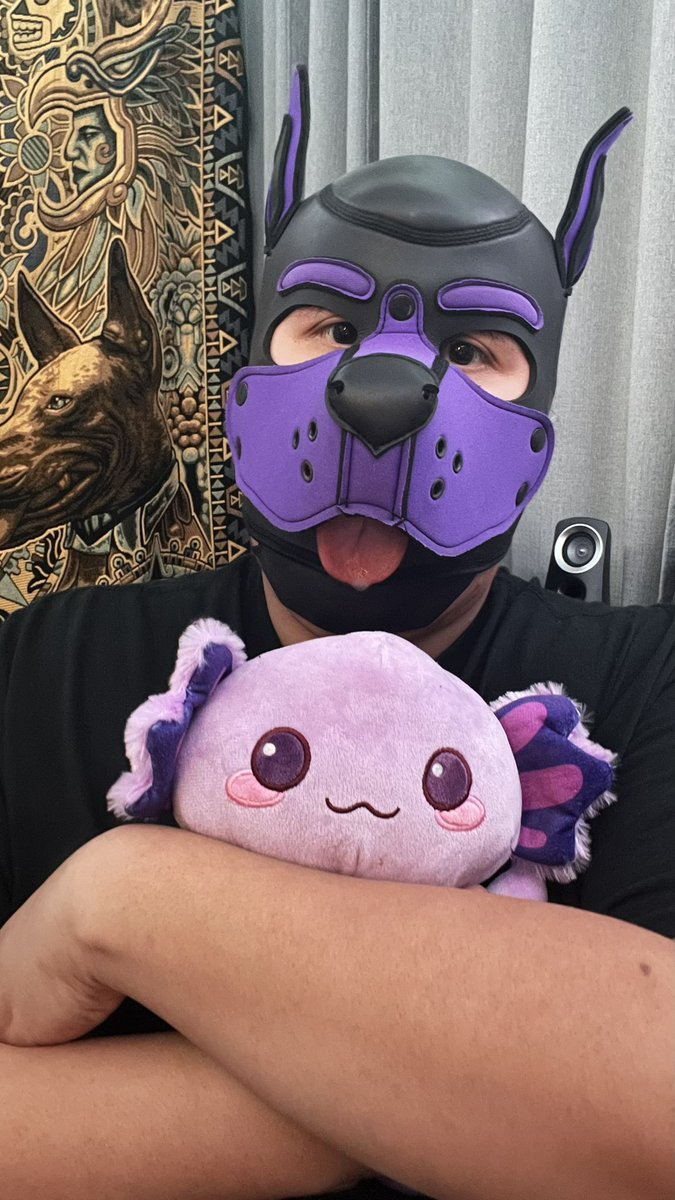 daichub1998's tweet photo. Me encanta ser un cachorro puedo ser el pequeño travieso y adorable ☺️🙃🐶💜 #gordito #fatboy #pupplay 
@PupAbyss https://t.co/JFLQp96AMY