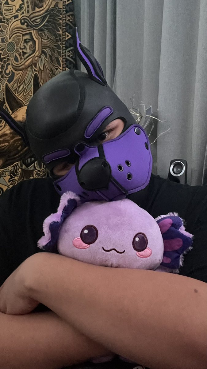 daichub1998's tweet photo. Me encanta ser un cachorro puedo ser el pequeño travieso y adorable ☺️🙃🐶💜 #gordito #fatboy #pupplay 
@PupAbyss https://t.co/JFLQp96AMY