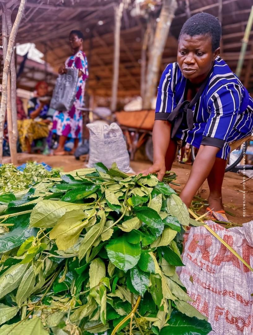 Every small business tells a bigger story. With the right support, local traders are growing, innovating, and keeping communities thriving. ECEWS is proud to be part of that journey.