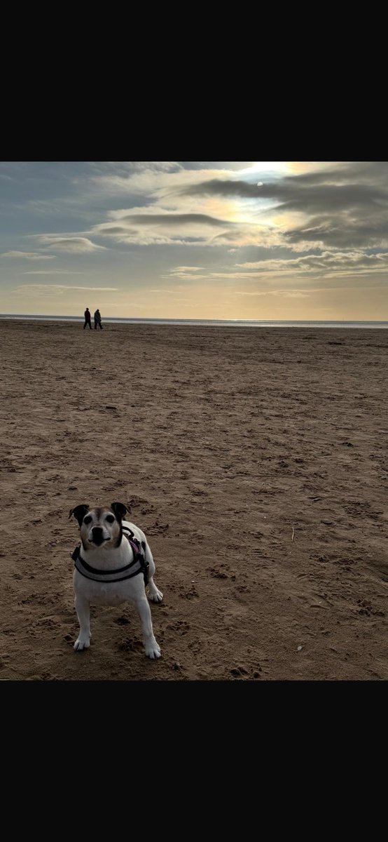 lucyEnuttall's tweet photo. Lytham with my little fam 🤍❄️ https://t.co/RSZTyrbtYb