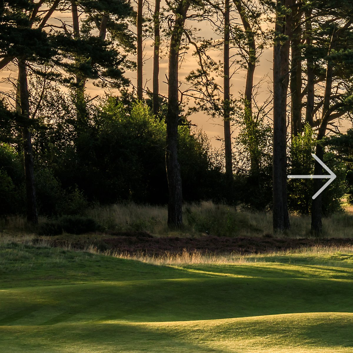 carnoustiegolf's tweet photo. Get summer ready! ☀

Add 4+ items from men's, women's &amp; kids' apparel/headwear &amp; get 35% OFF + Free shipping £100/£150 (UK/ROW).

Why not order your items now and collect them when you arrive this year?

Limited time - ends 25 Jan 2026!

Shop now 👇
https://t.co/KgWKQJDjg3 https://t.co/ii6yOSn7Tx