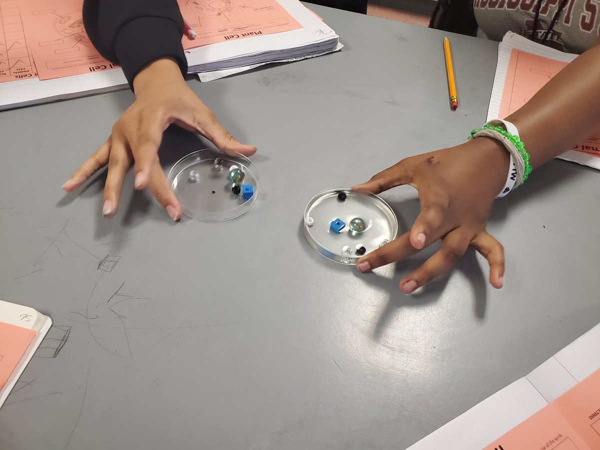 Lauren Mitchell tweet media