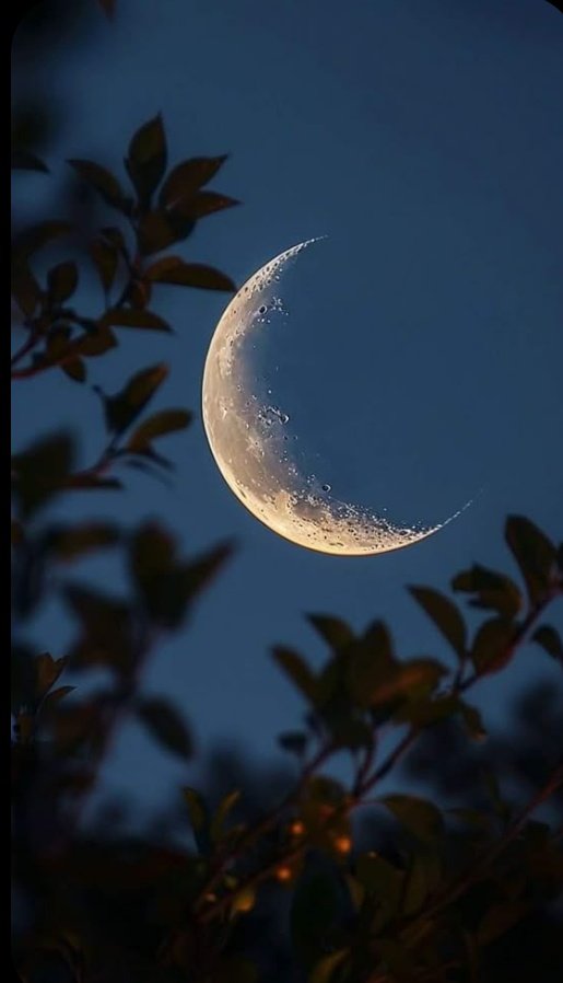 joyfulheart0305's tweet image. Goodnight my friends. ✨✨😴

#moon