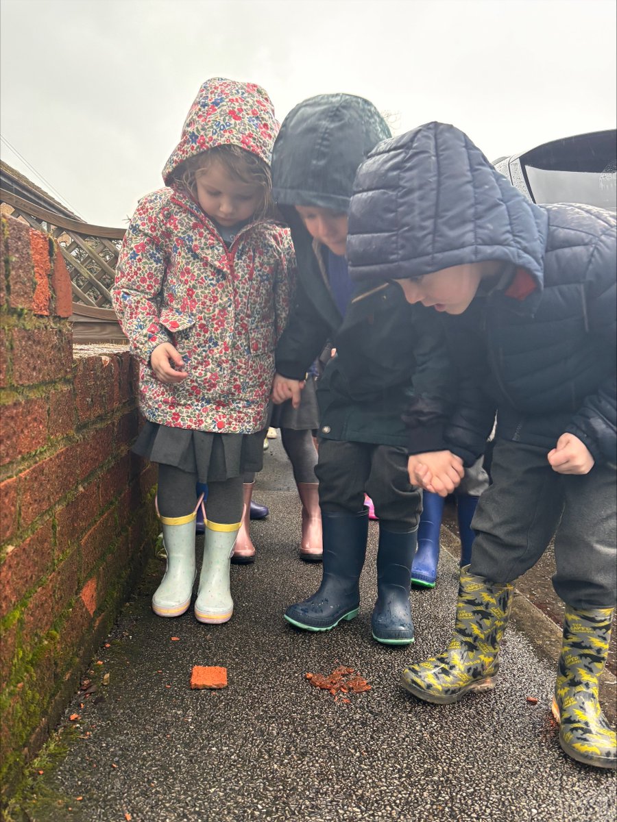 Blacko Primary School tweet media