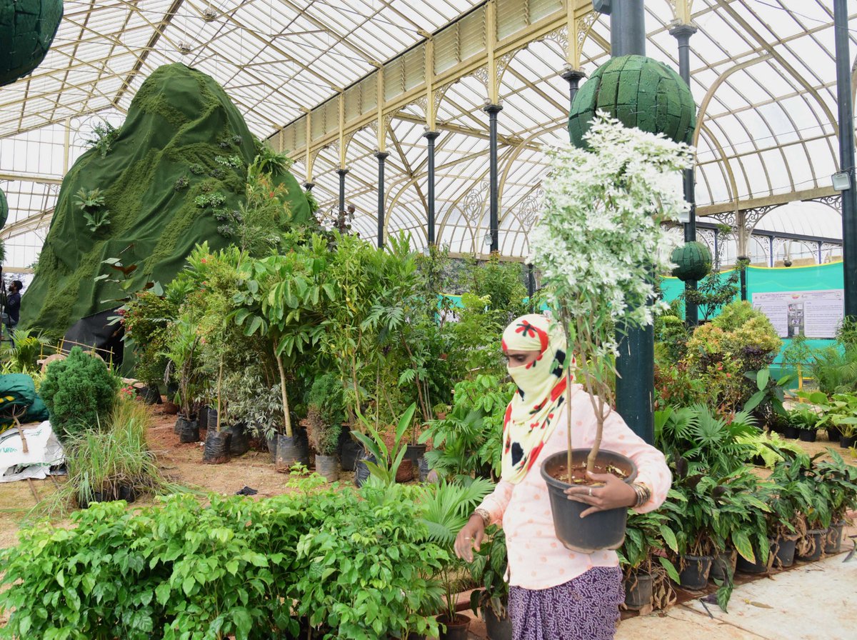 timesofindia's tweet image. Preparations are in full swing at the #Lalbagh Glass House ahead of the 219th #RepublicDay Flower Show, titled “Tejasvi-Vismaya.” This year’s theme celebrates the #life and literary legacy of legendary writer K.P. Poornachandra Tejasvi. The show will be inaugurated by the
