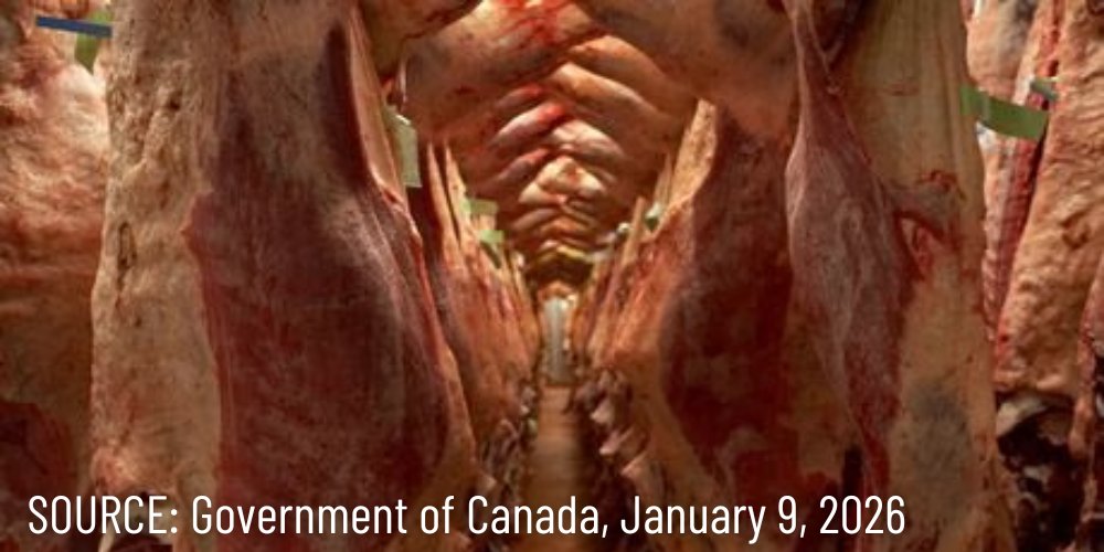 WeAreCanProud's tweet image. #REPORT: The Carney Liberal government announces that they will be taking $2.25 million from taxpayers to fund "halal beef processing and packaging" in Prince Edward Island.