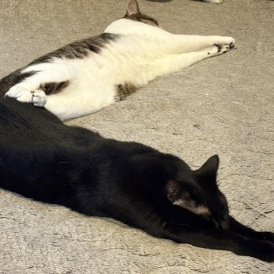 #新しいプロフィール画像