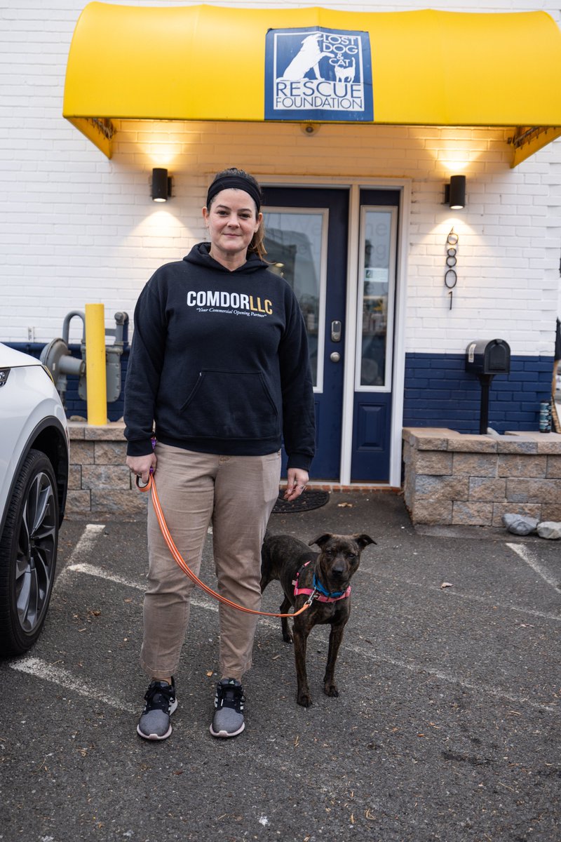 ComdorLLC's tweet photo. Donating time and material to a cause near and dear to our hearts.  Please support @lostdogrescue  in any way possible; walk companions, dog adventures, adoption, monetary, or even just by spreading the word. They do amazing work and we enjoyed the collaboration. https://t.co/U853HnwCKP