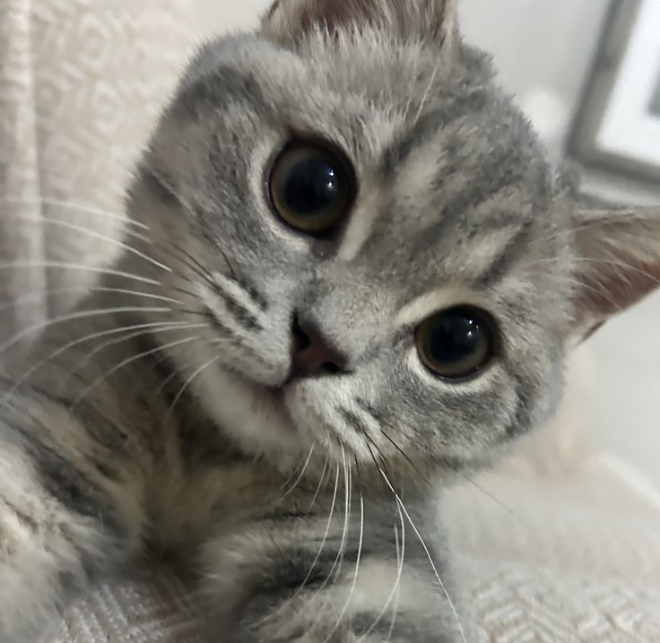 tnnorpanbus's tweet image. ฮ้าทนี่หน่า เป๊ะเลย น่ารักจัง🥺