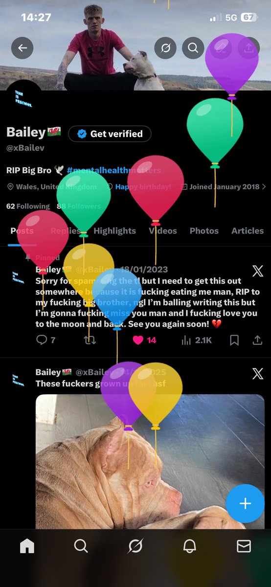 Bailey🏴󠁧󠁢󠁷󠁬󠁳󠁿 tweet media