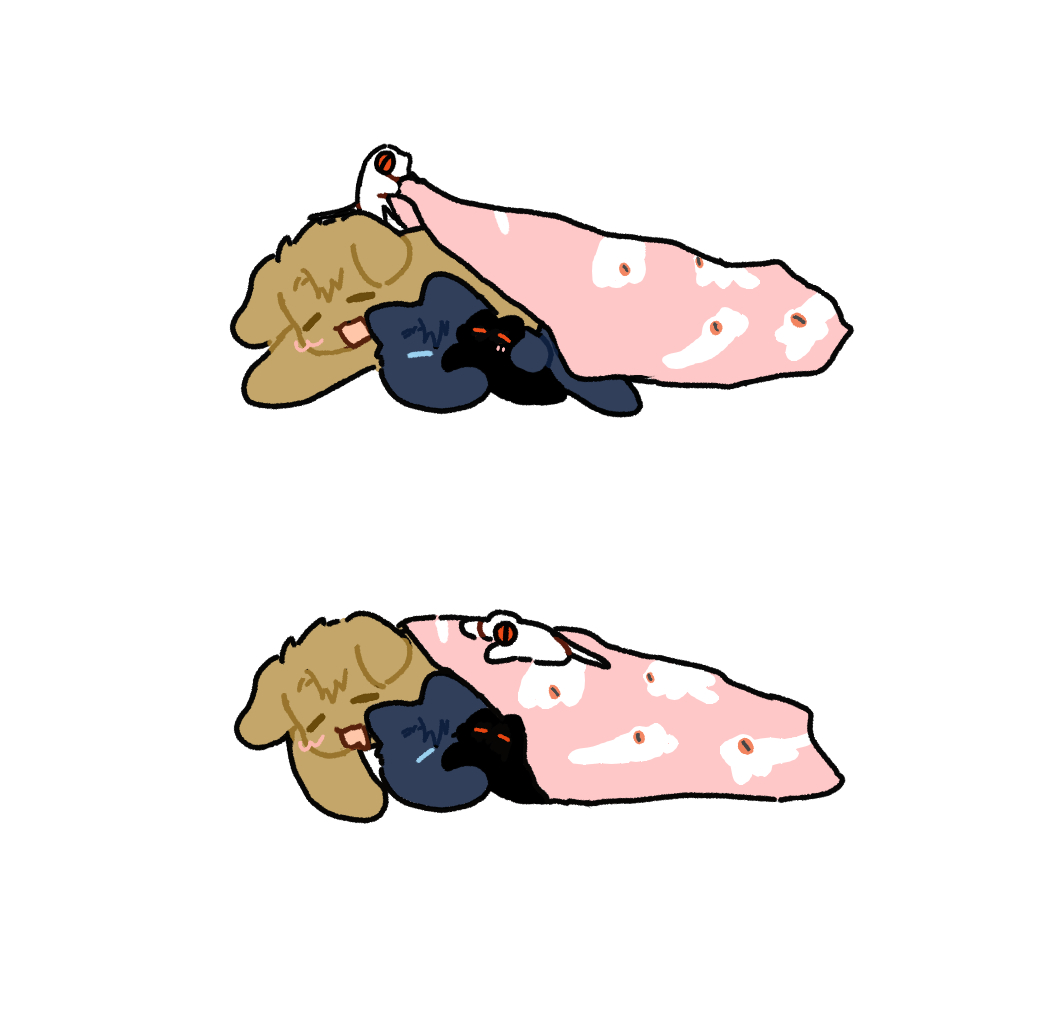 mimi_jj03's tweet image. 뽀닥