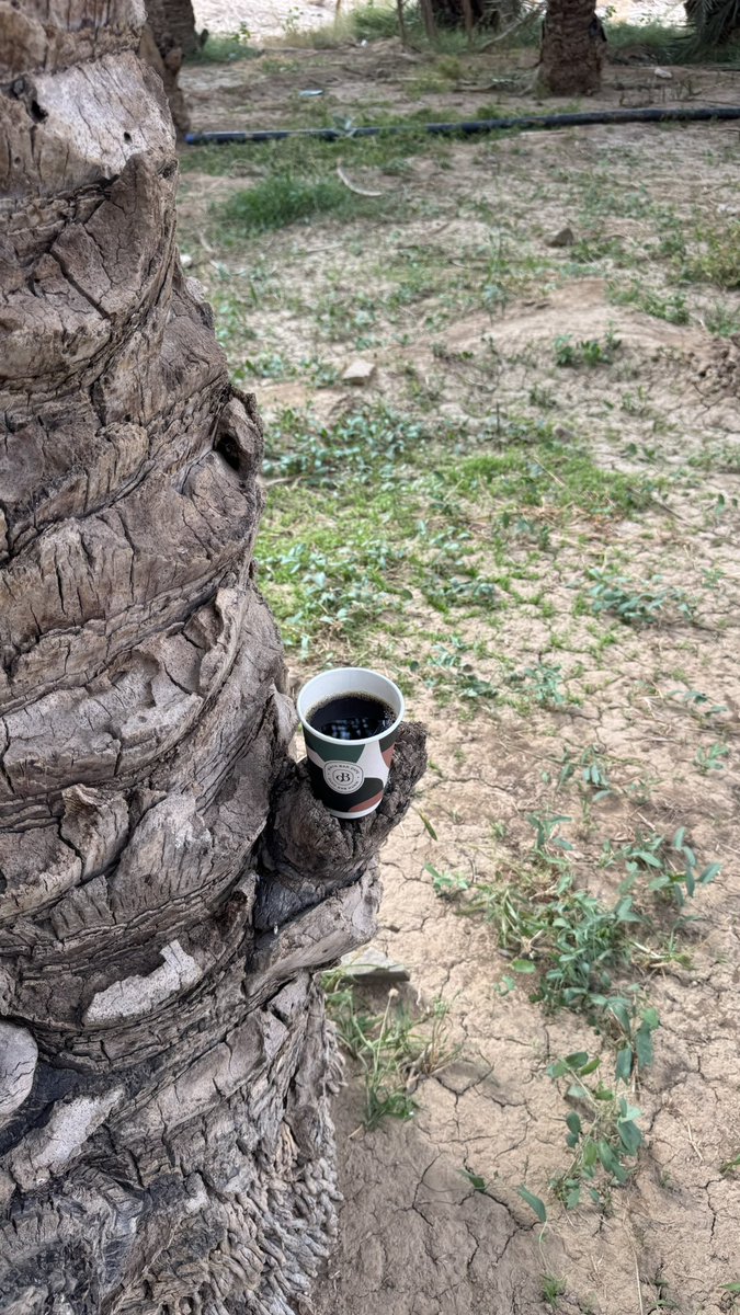 شوفة المحبوب والروض الخضر .❤️