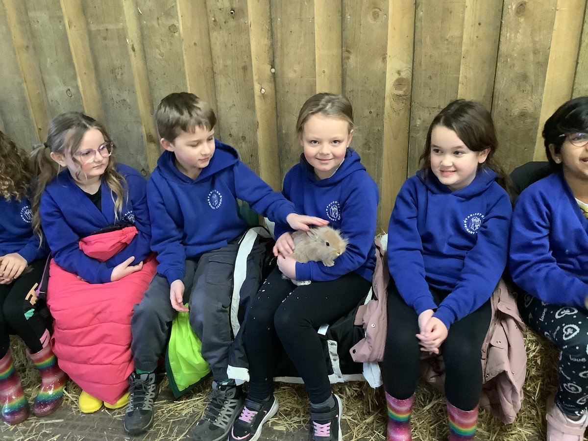 Farington School tweet media