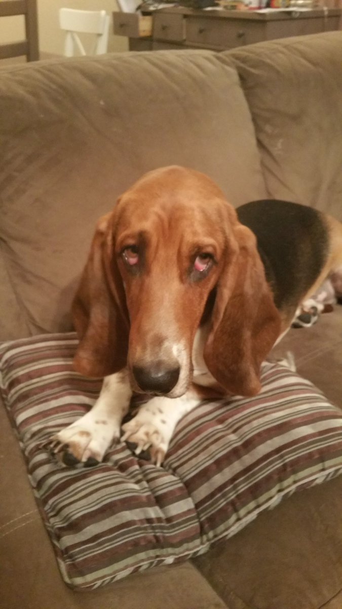 Mr. PSVR/2 tweet media