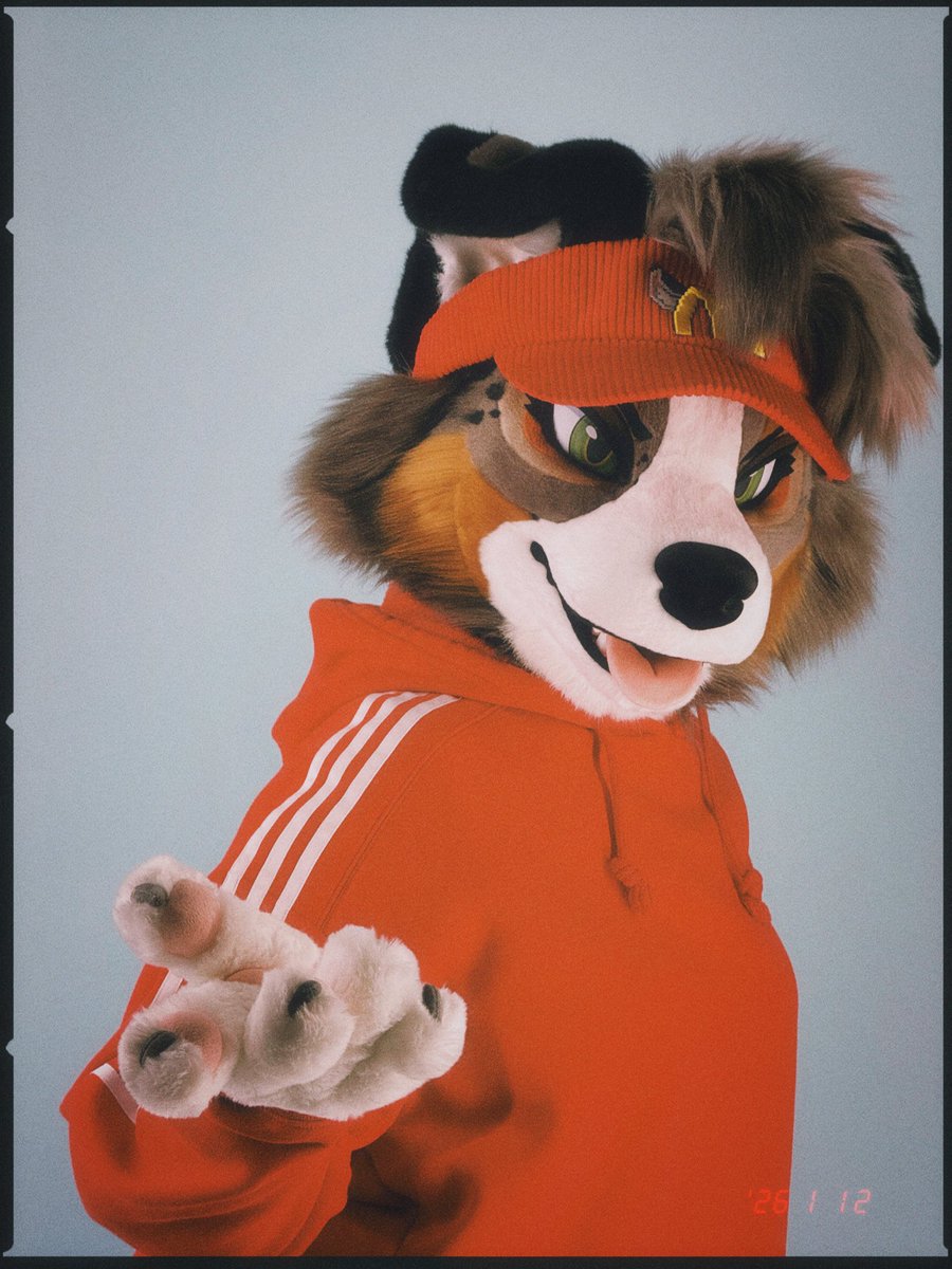 ゆきんこ🍕 (@yukinkoacf) / Posts / X