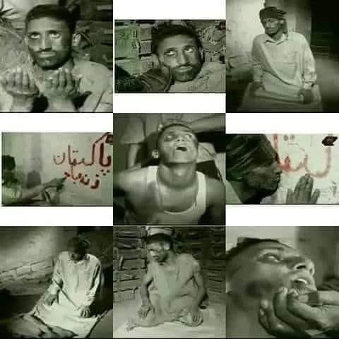Pakistan Cyber Defender tweet media
