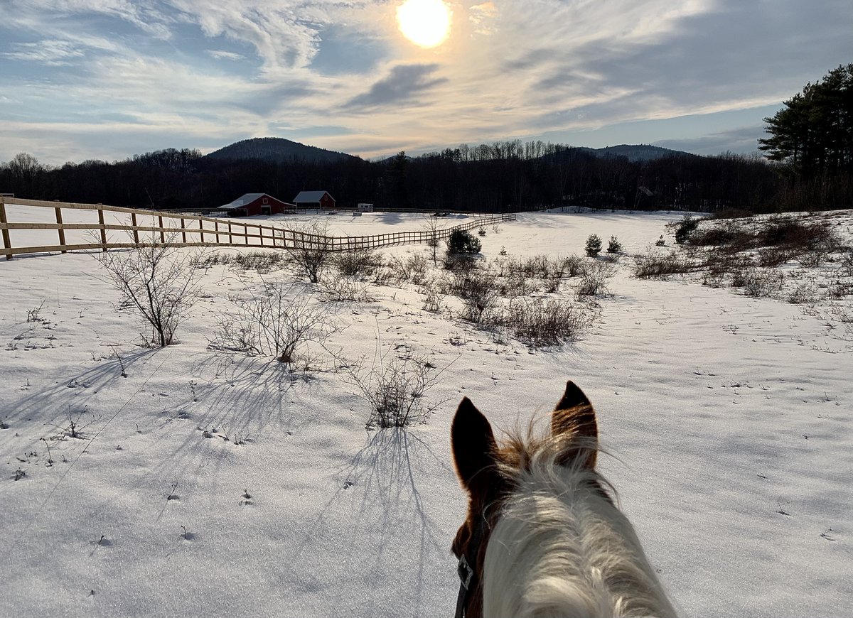 It's time for a winter trot! This photo was captured by Carol Weisman of Greenwich, N.Y., and featured in our 2026 Agricultural Views calendar. Submissions are now open for next year's calendar at FarmCreditEast.com/Calendar. #AgriculturalViews #AgViews #MadeInAgriculture