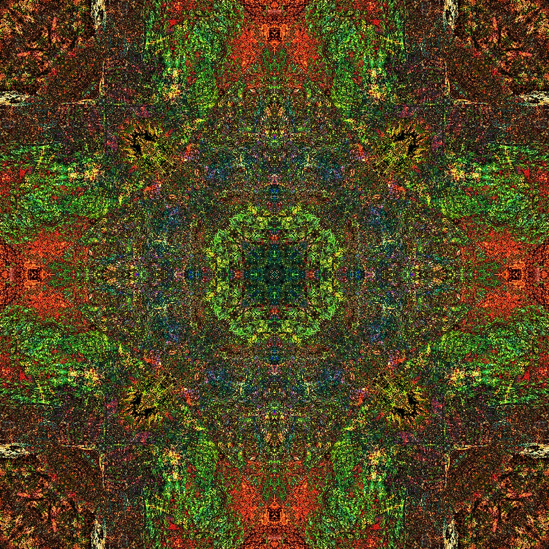 LeeVaris's tweet image. bobbiandleesphotoadventures with #mandalamonday – photo-mandala created from a single "seed" image... 2nd image is the "seed"

#artphotography
#fineartphotography
#contemporaryphotography
#symmetry
#abstract
#expressionist
#graphic