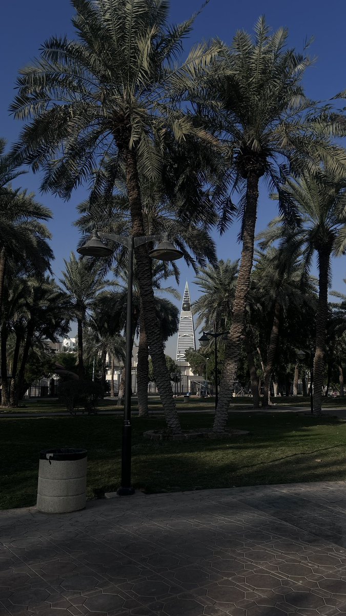 The last star dies in silence tweet media