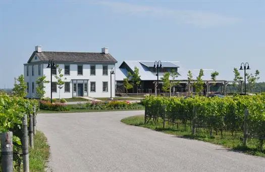 From golden vines to candlelit dinners, this vineyard wedding guide shows how to turn nature’s beauty into an unforgettable celebration.

.
todaysbride.ca/articles/how-t…

.
.
#todaysbride #vineyardwedding #winerywedding #outdoorwedding #vineyardvenues