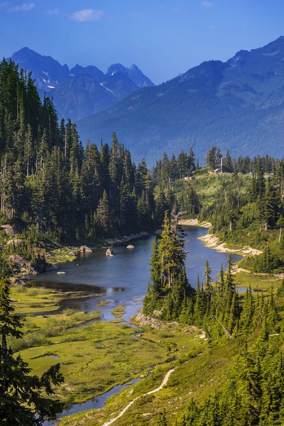 Aleksandar Mitrovic (@aleksan52094351) on Twitter photo 